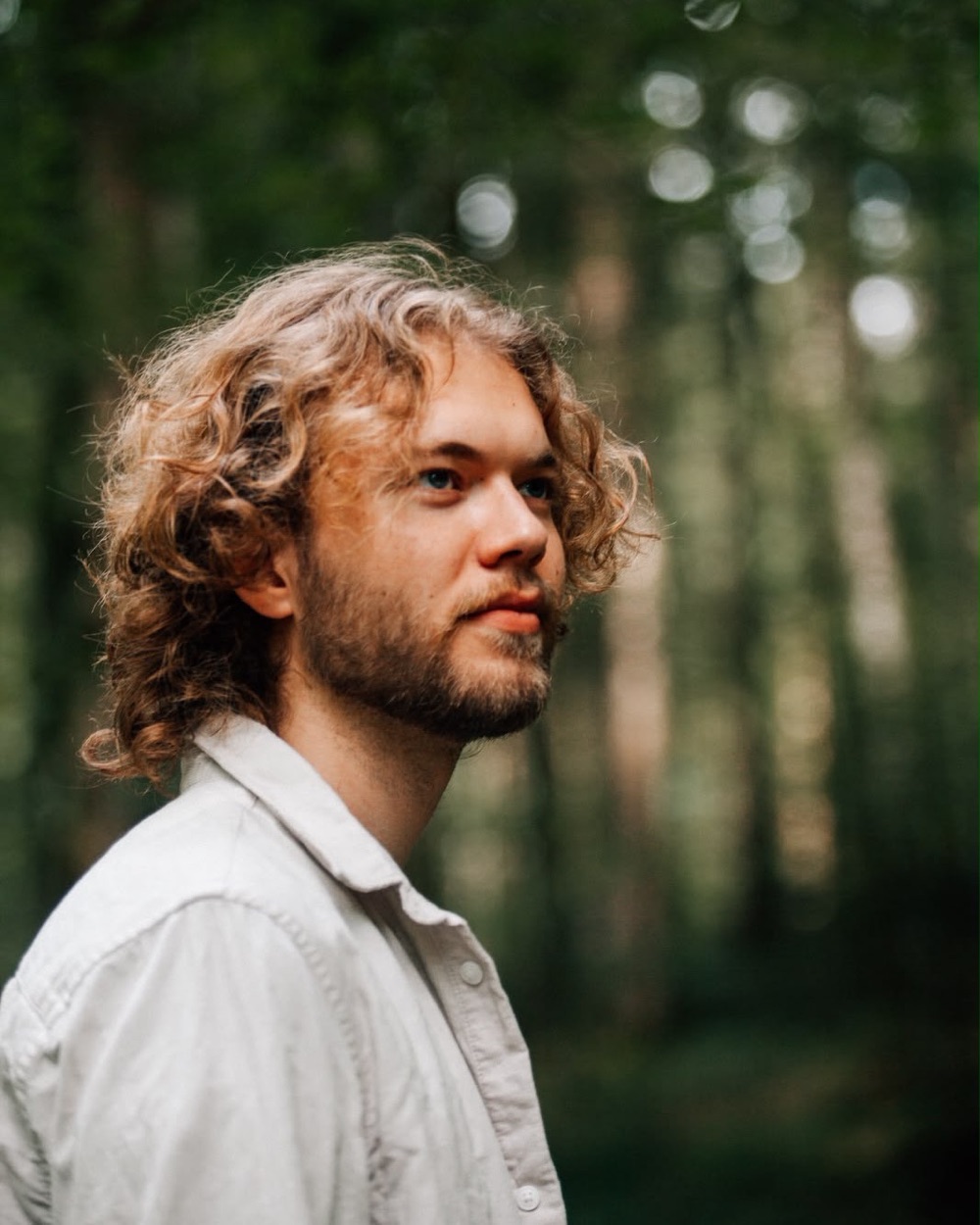 DEVADE looking off camera in a pine forest